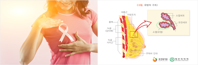 유방갑상선내분비외과 관련사진