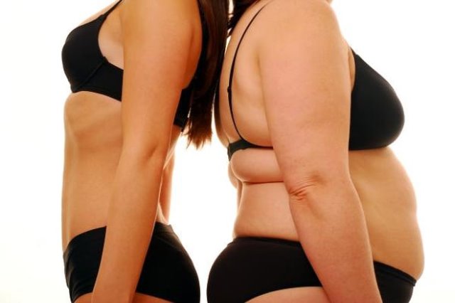 thin-woman-obese-woman-11100302[1].jpg