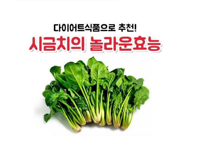 시금치.jpg