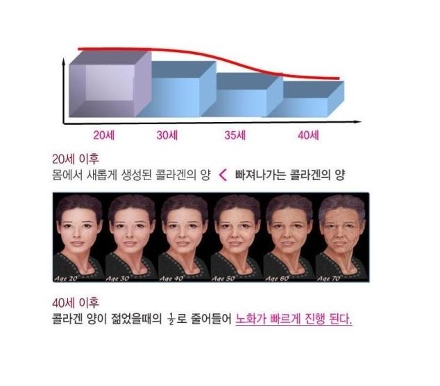 콜라겐.jpg